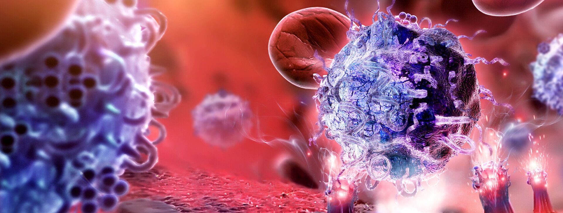 Oficjalny dystrybutor BioLegend